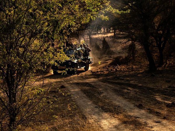 3 Days Ranthambore Tour from Delhi by Road