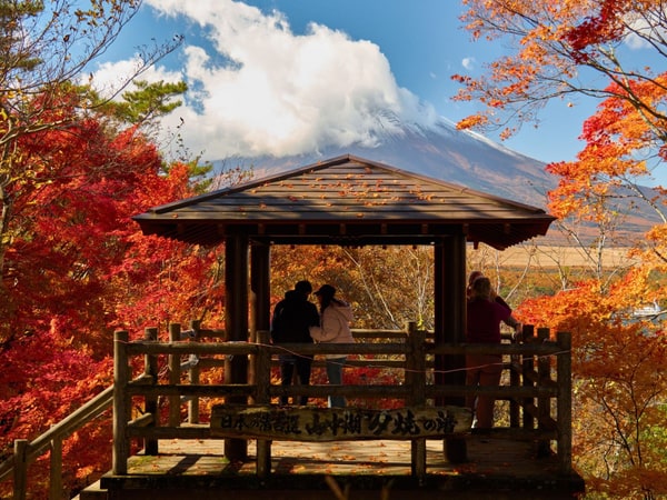 日本 紅葉のゴールデンルート