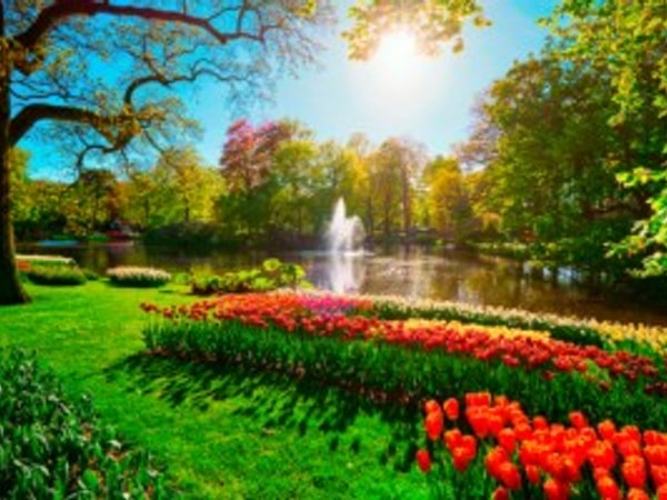 Private Day Trip to Keukenhof Gardens