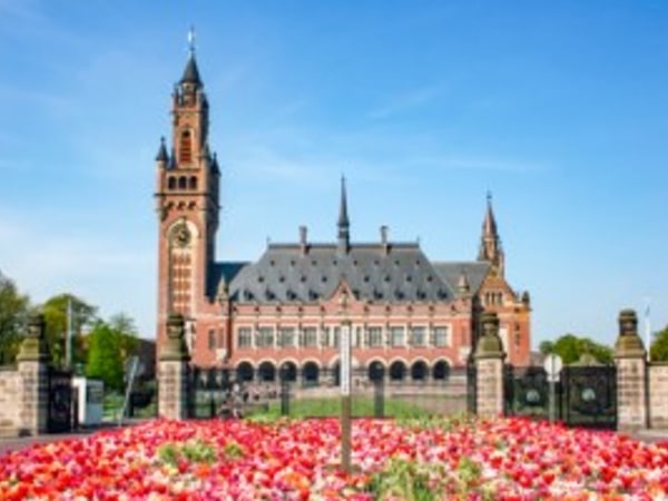 Private Daytrip to Rotterdam and The Hague