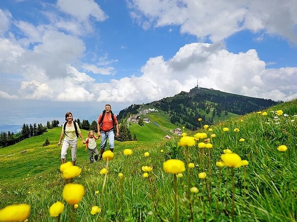 Rigi - Queen of the Mountains (from Zurich)
