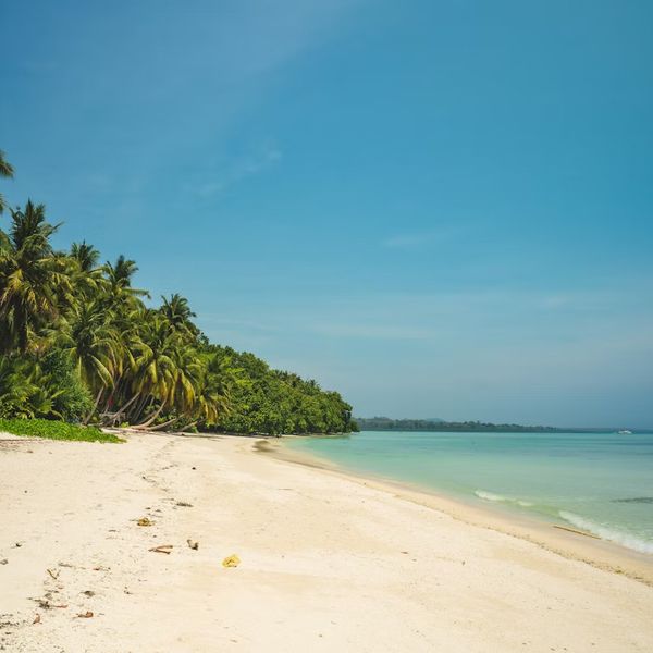 6 Days Andaman Tour Itinerary