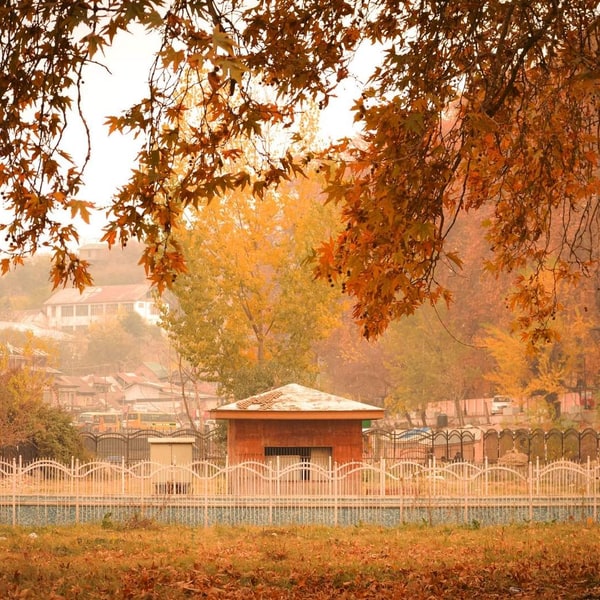 11 Days Great Lake Trek of Kashmir