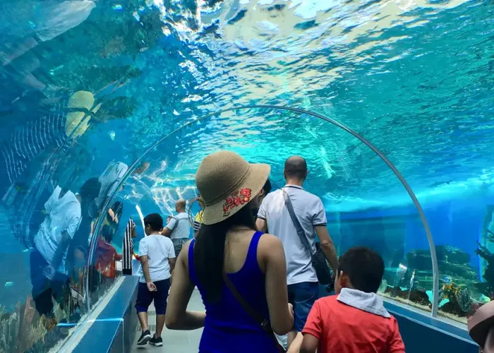 Cebu Ocean Park Ticket
