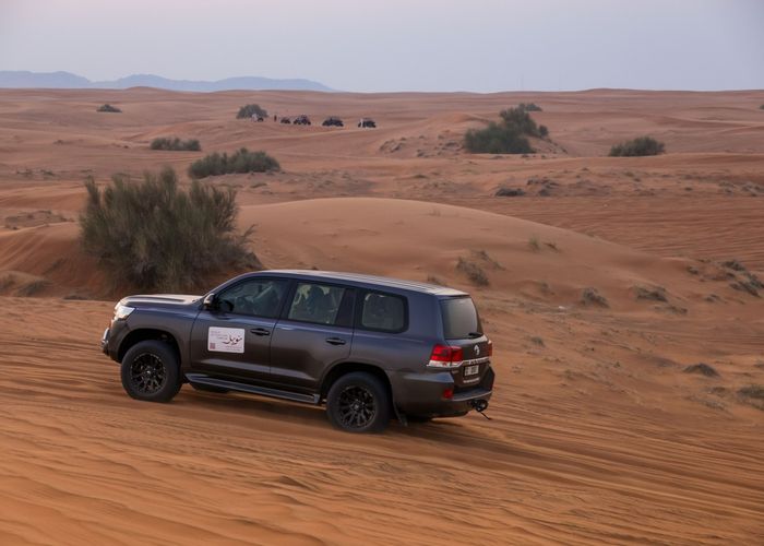 Desert Safari with Premium Desert Camp