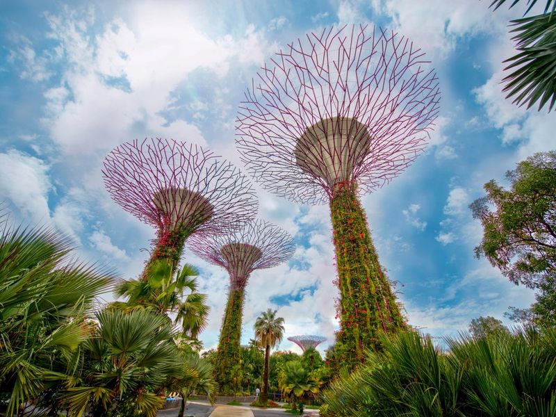 Singapore: A Futuristic City with Timeless Charm