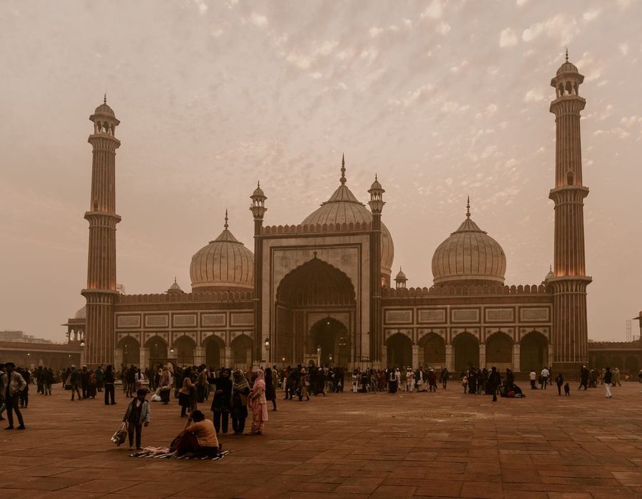 India and Tigers Tour