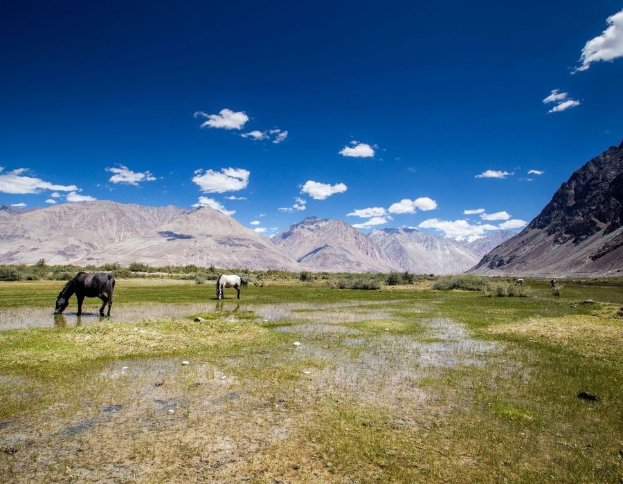 Ladakh Tour