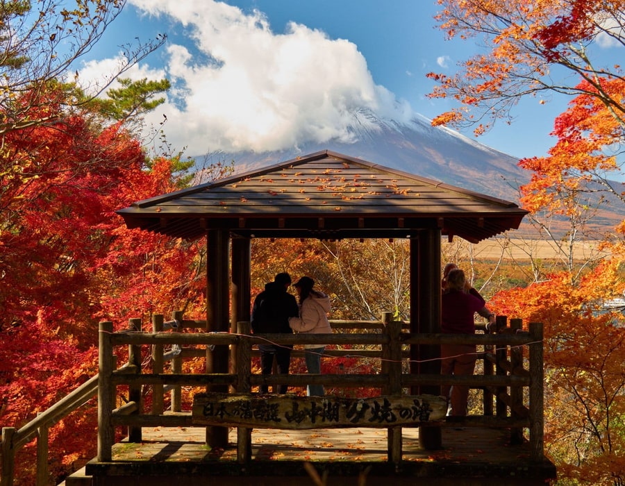 Japan Autumn Golden Route