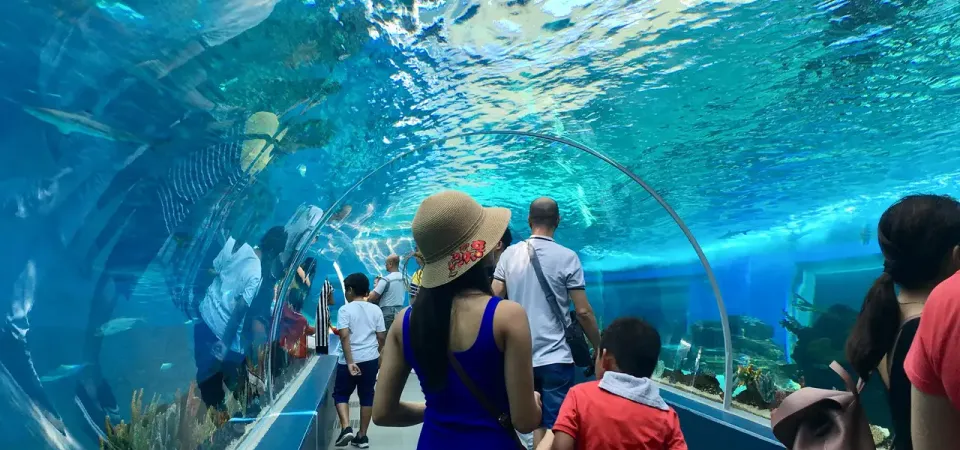 Primary image of Cebu Ocean Park Ticket tour