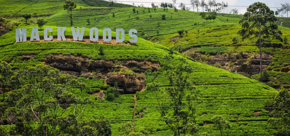 Primary image of Nuwara Eliya 2 Day Tour from Colombo tour