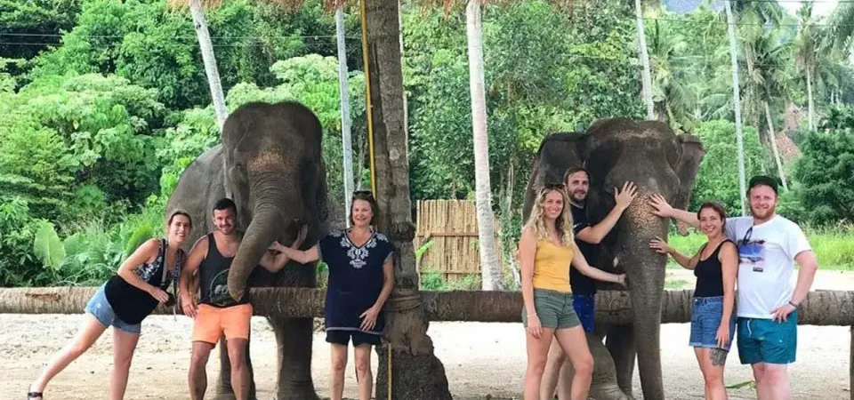 Primary image of Aonang Elephant Sanctuary Experience tour