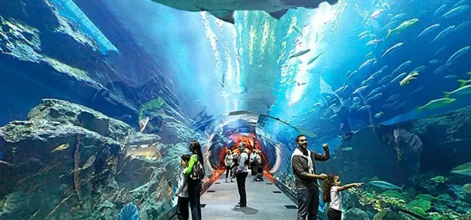 Tour image 4