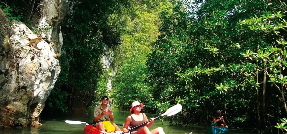 Primary image of Krabi Mangrove Kayak Trip tour